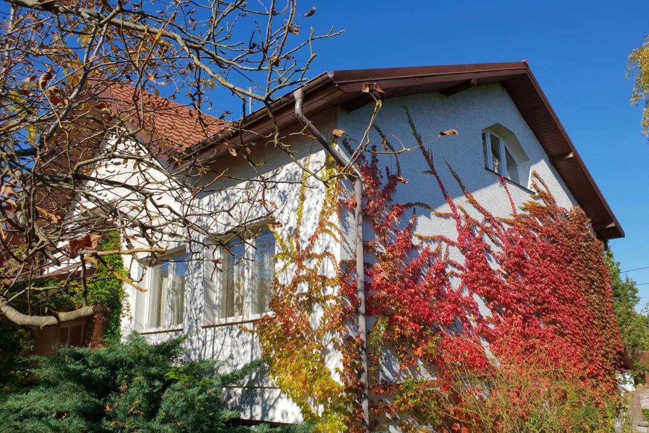 Borowe Kt Villa Warka Kültér fotó
