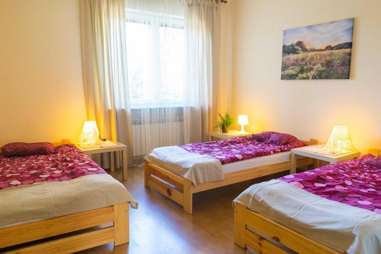 Borowe Kt Villa Warka Kültér fotó